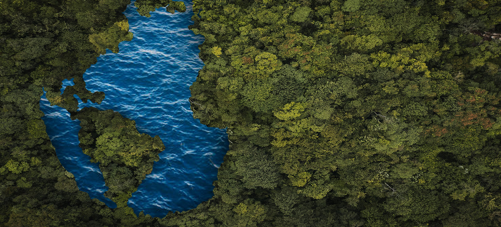 COP30 Banner
