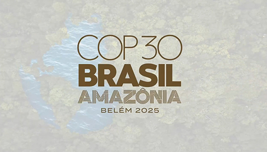 home cop 30